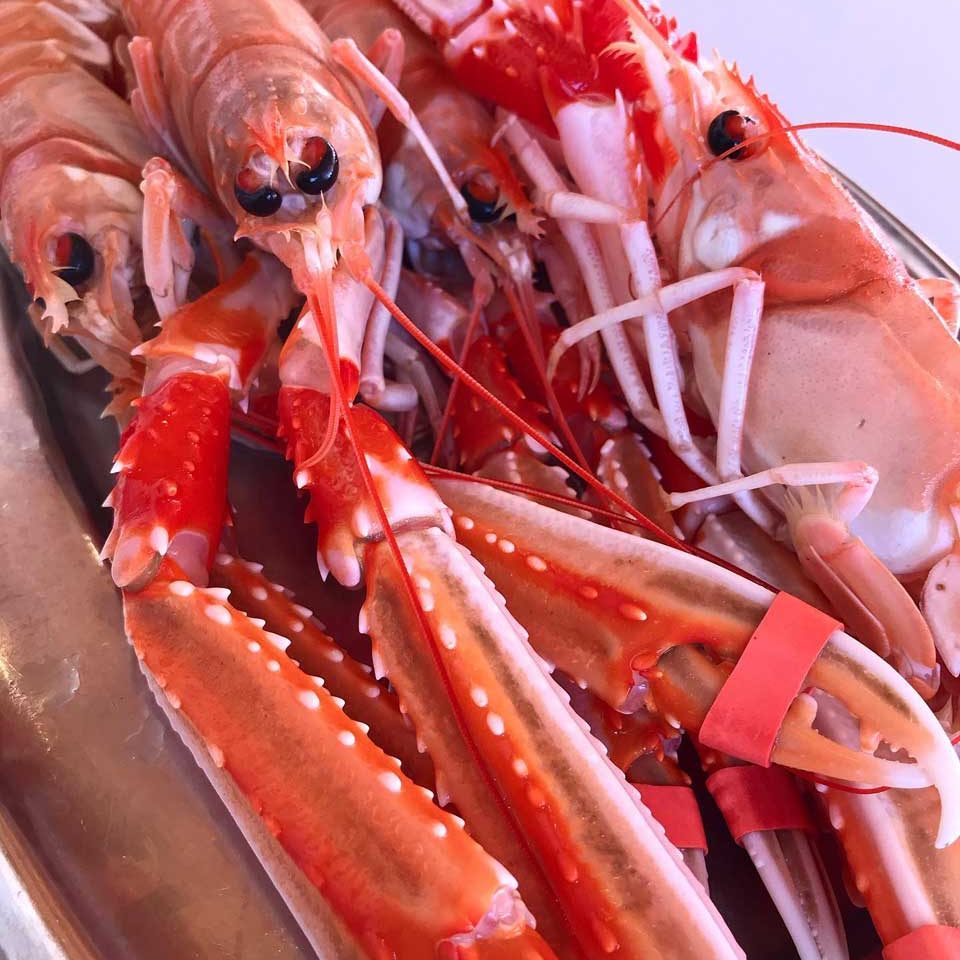 Sea Food | Unique Comporta