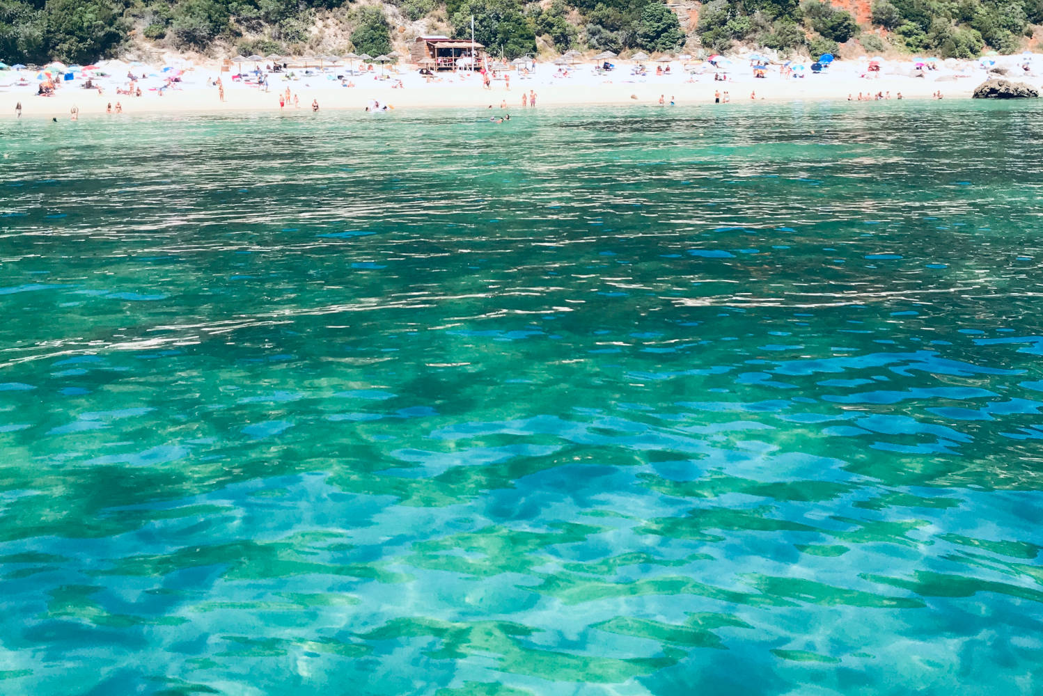 Exploring Arrábida by Sea